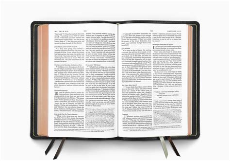 esv goatskin bible|esv heirloom study bible goatskin.